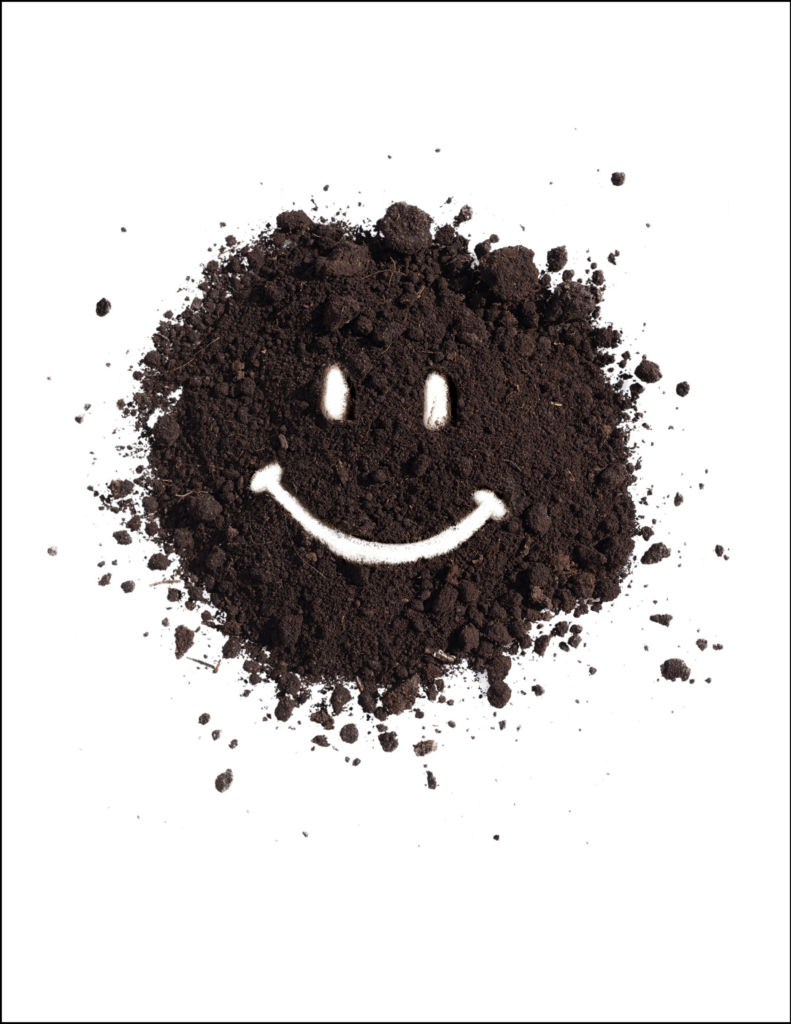 Dirt Smiley
