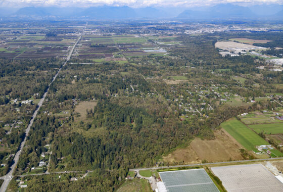 Aerial-view-of-redwood-heights-grandview-area-4